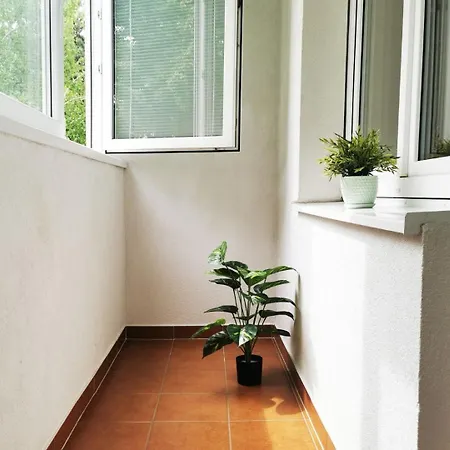 Adam Apartman
